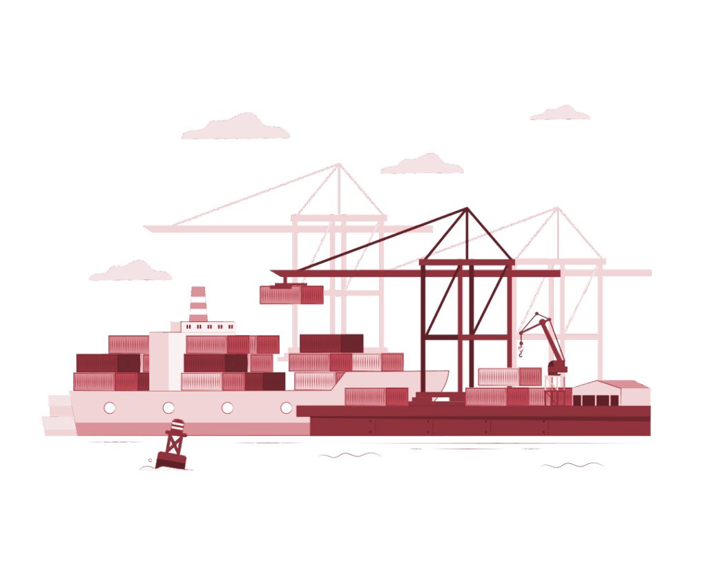 透明的进出口服务 Import-export services