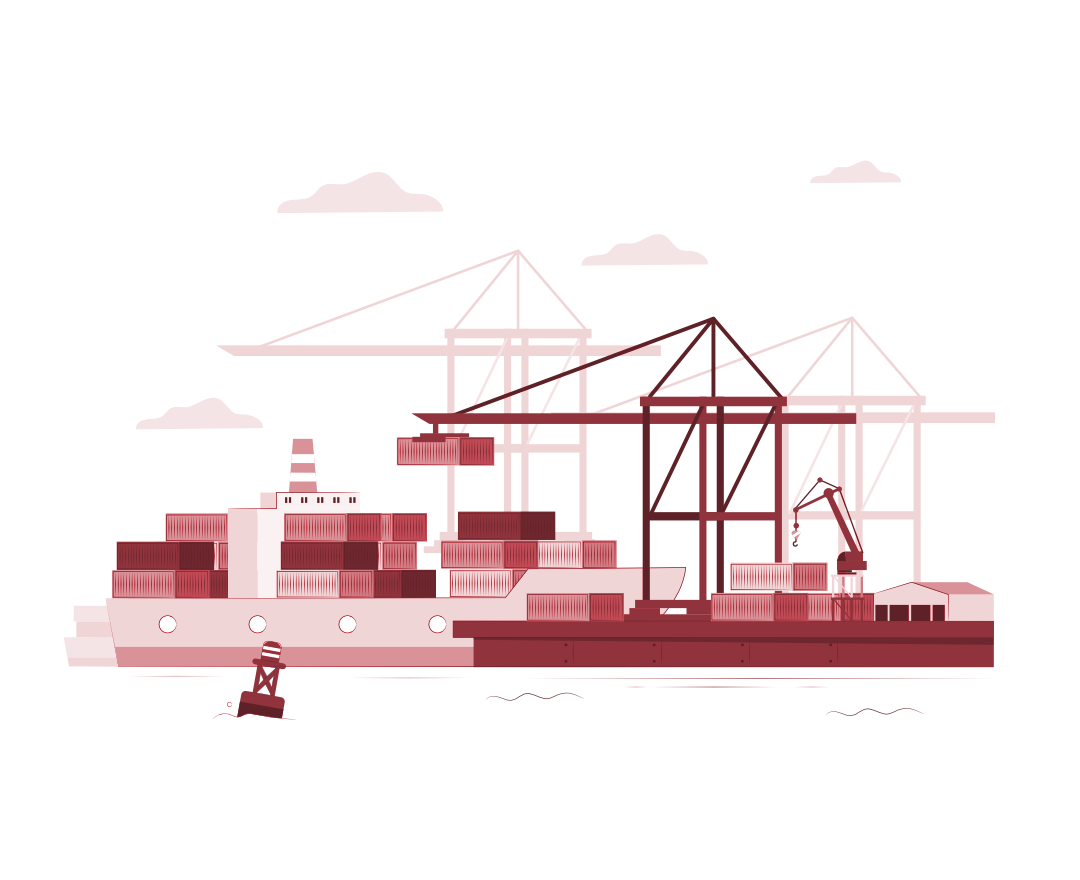 透明的进出口服务 Import-export services